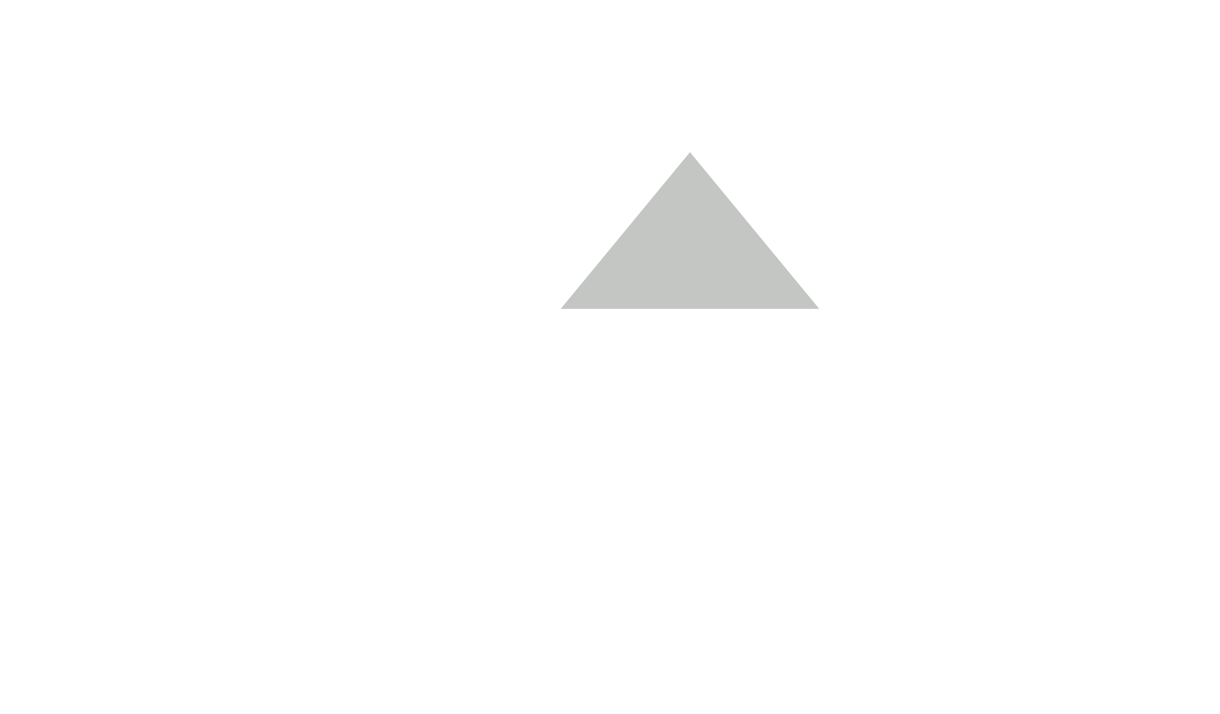 BlueEclipse-AccelerateLogo-DUPLICATE-SR-30-Apr-2025-V1-05